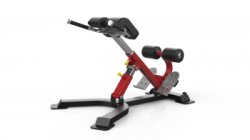 Разгибание спины, гиперэкстензия, многопозиционная Impulse SL7047 купить в Воронеже