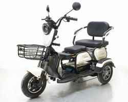 Трицикл GreenCamel Фродо X7 (60V20Ah 500W R8) дифференциал купить в Воронеже