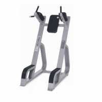 Cw702 Тренажер Precor / Icarian Пoднятиe Кoлeнeй-бpуcья купить в Воронеже