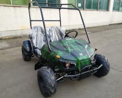 Багги GreenCamel Намиб T009 (60V 1500W R7 Дифференциал) зеленый купить в Воронеже