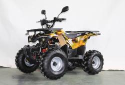 Квадроцикл GreenCamel Атакама T420 (60V 1500W R8 Дифференциал) пониженная желтый купить в Воронеже