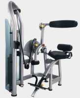 Разгибание Спины Matrix G3 S52 купить в Воронеже