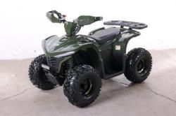 Квадроцикл GreenCamel Гоби K90 (48V 750W R7 Дифф) LUX Bluetooth зеленый купить в Воронеже