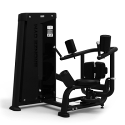 Торс-машина BRONZE GYM NEO 18 купить в Воронеже