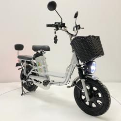 Электровелосипед GreenCamel Транк Монстр (R16FAT 800W 60V20Ah) гидравл. тормоз купить в Воронеже