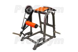 Тренажер нижней части спины и бицепсов бедер комбинированный ProfiGym ТД-0280-D купить в Воронеже