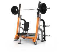 Силовая станция для жима от плеч с доводчиком Matrix Magnum A645 купить в Воронеже