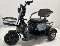 Трицикл GreenCamel Фродо SZBO (48V/60V 1000W R8) дифференциал светло-синий купить в Воронеже