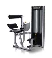 Разгибание спины Matrix Versa VS-S52H купить в Воронеже