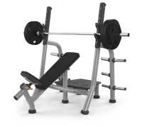 Скамья для жима с положительным наклоном Matrix Magnum A79 купить в Воронеже