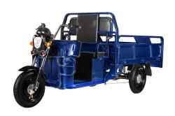 Грузовая электрическая тележка Green City D4 синий купить в Воронеже