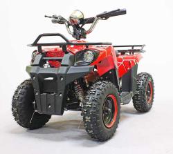 Квадроцикл GreenCamel Гоби K40 (36V 800W R6 Цепь) быстросъем красный купить в Воронеже