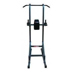 Многофункциональный силовой турник Protrain PT001 купить в Воронеже