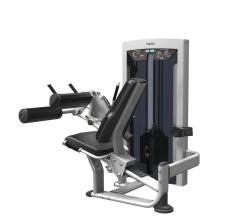 Сгибание ног сидя ExoForm FE9706 купить в Воронеже