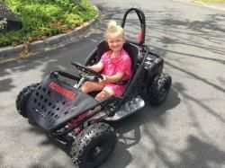 Багги GreenCamel Намиб T005 (48V 1000W R6 Цепь) черный купить в Воронеже