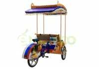 Велорикша Медведь Солнечный Электро Люкс купить в Воронеже