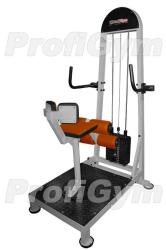 Торс-машина ProfiGym ТГ-0370-C купить в Воронеже