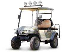 Гольфкар EAGLE EG2020ASZ купить в Воронеже