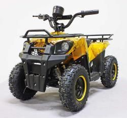 Квадроцикл GreenCamel Гоби K45 (36V 800W R6 Цепь) быстросъем, ножной тормоз желтый купить в Воронеже