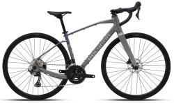 Велосипед Polygon Tambora A4 (2025) серый купить в Воронеже