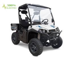 UTV GreenCamel Linhai LH50DU (4kW AC, R12 литые) LUX белый купить в Воронеже