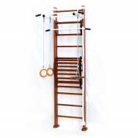 Дск Карусель 2д.03.03 К Стене + Тренажер Для Осанки №2 купить в Воронеже